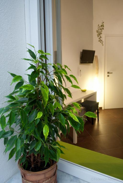 Affittacamere B&B Carella Palermo Rum bild